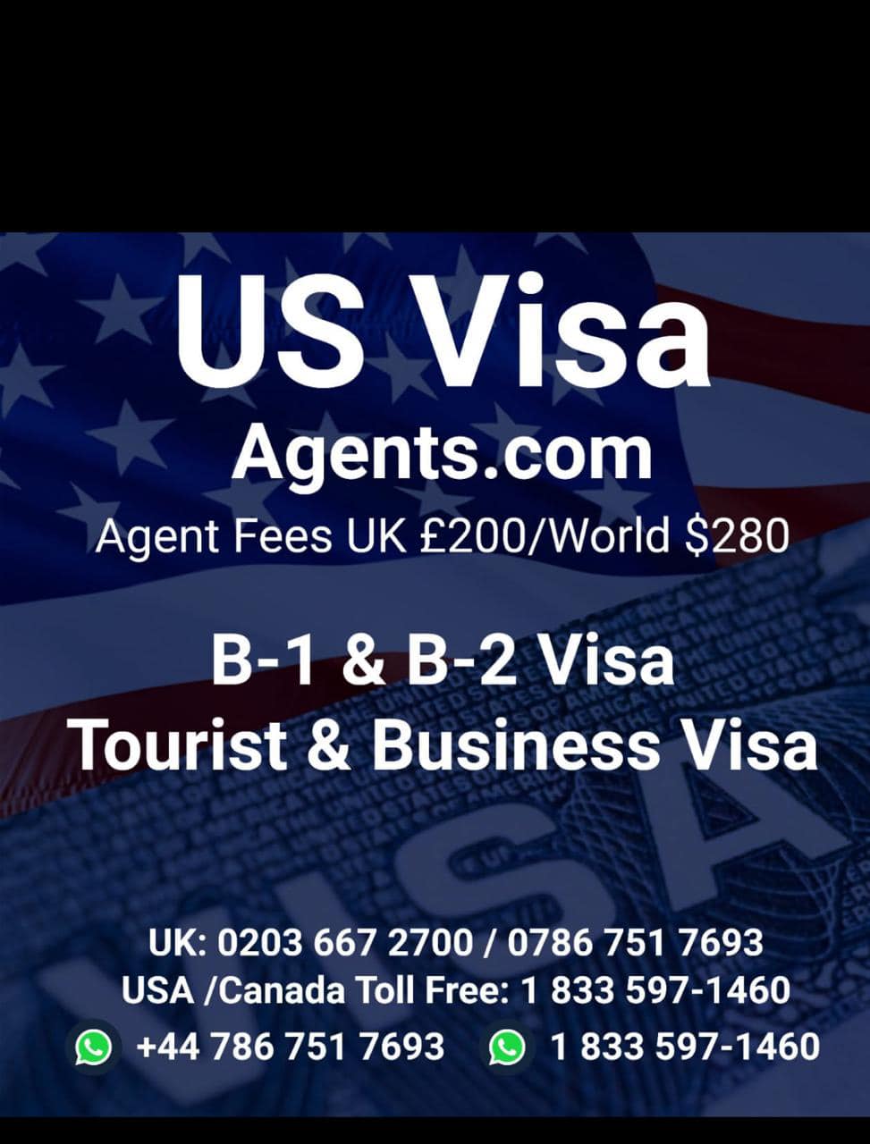 Navigating the USA Visa Process: The Role of Visa Agents in the Netherlands